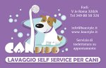 candido-lavaggio-self-service-per-cani-e-gatti