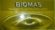 biomas-di-saverio-coppola