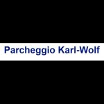 parkautomatic-karl-wolf
