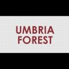 umbria-forest-srl