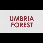 umbria-forest-srl