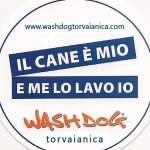 wash-dog-torvaianica