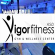 vigor-fitness