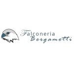 falconeria-bergamotti-s-r-l-s