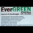 evergreen-impresa-di-giardinaggio