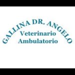 ambulatorio-veterinario-gallina-dott-angelo