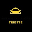 taxi-airport-pickup-trieste