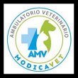 modicavet-ambulatorio-veterinario