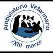 veterinario-xxiii-marzo-dott-roberto-porati