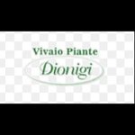 vivaio-piante-dionigi