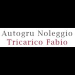 autogru-noleggio-tricarico-fabio