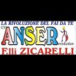 cv-an-ser-flli-zicarelli-srl